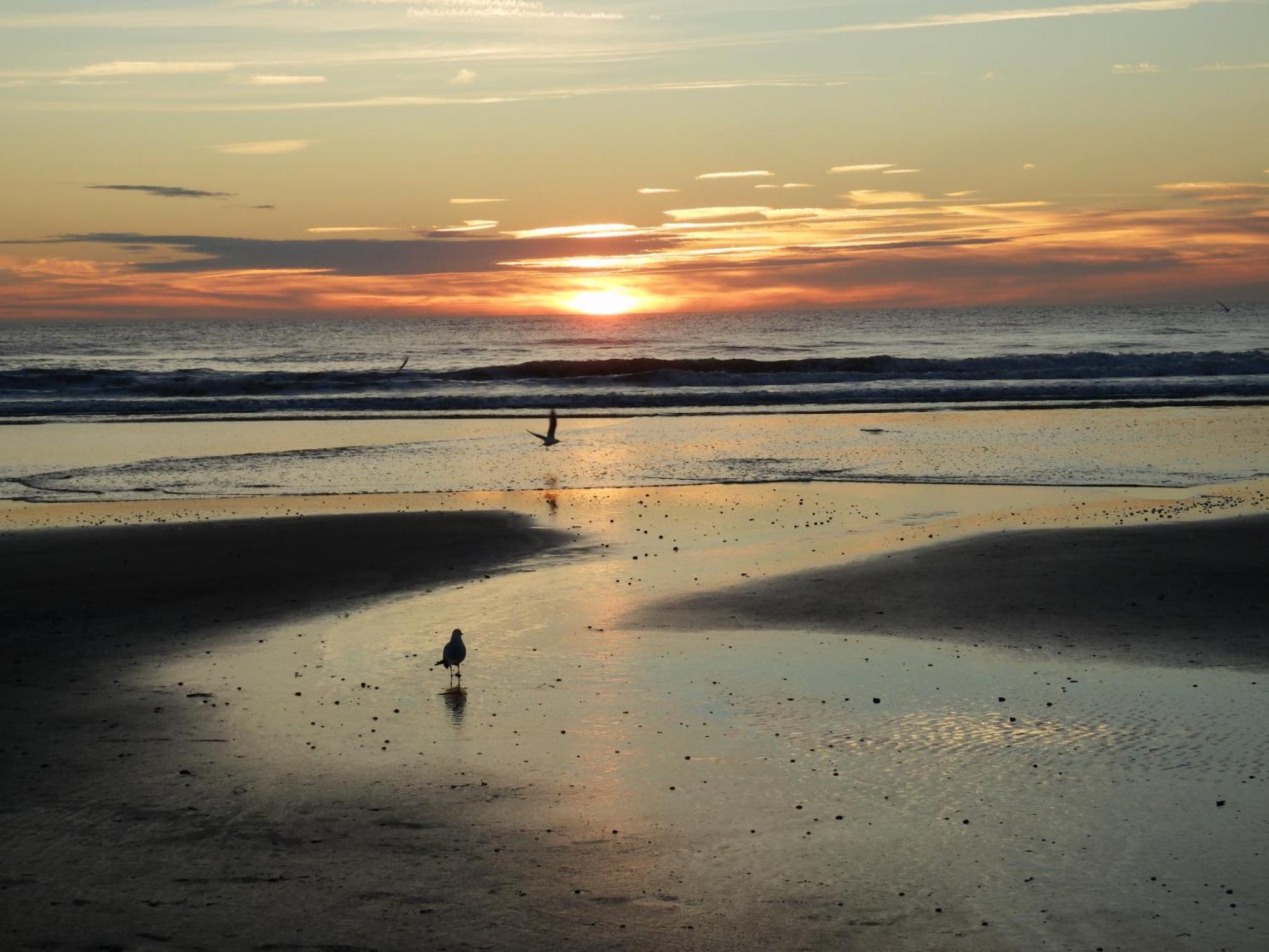 Chez Blandine & Pol Bed & Breakfast Hardelot-Plage Eksteriør bilde
